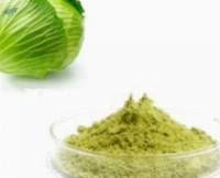 Dried Cabbage Powder  (dehydrated)