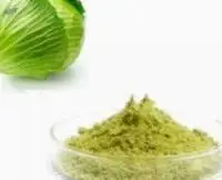 Dried Cabbage Powder  (dehydrated)