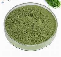 Dried Leeks Powder  (dehydrated)