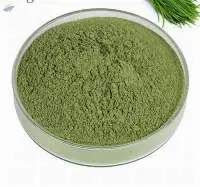 Dried Leeks Powder  (dehydrated)