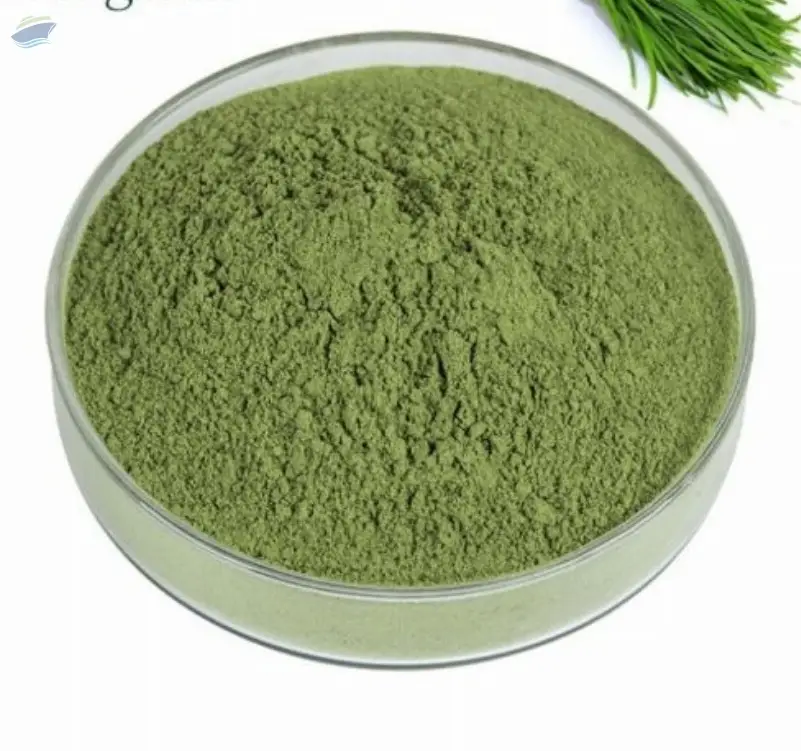Dried Leeks Powder  (dehydrated)