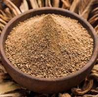 Dried Mango Tjc Powder (dehydrated)