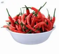 Gundur Dry Red Chilli