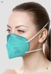 KN95 Niosh Face Masks