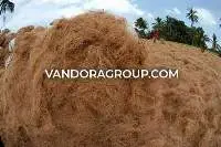 Coconut Fiber