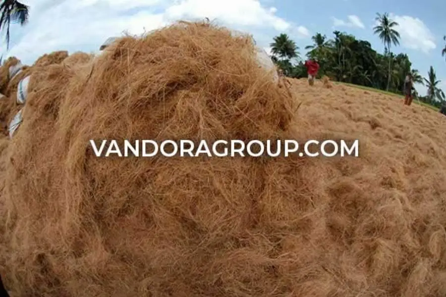 Coconut Fiber