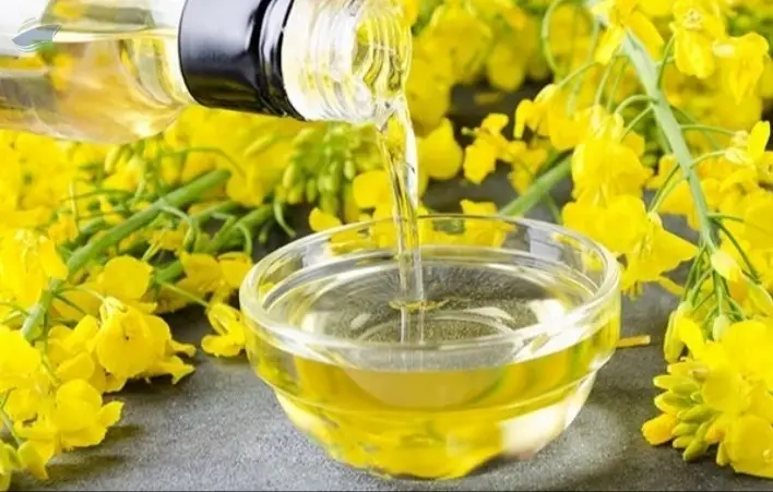 Rapeseed Oil
