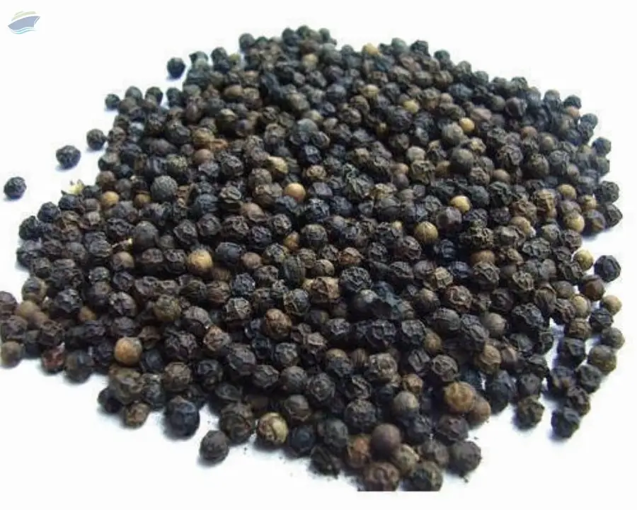 Black Pepper