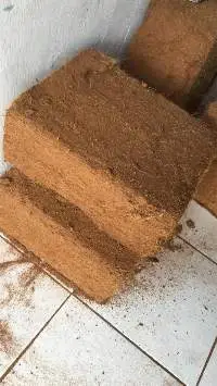Cocopeat Block