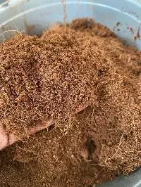 Cocopeat Bulk