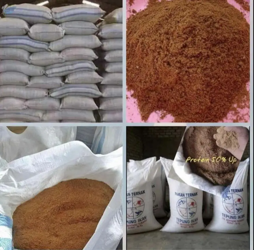 Fish Meal