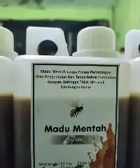 Raw Honey Forest