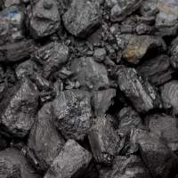 Coal