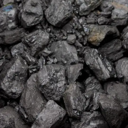 Coal