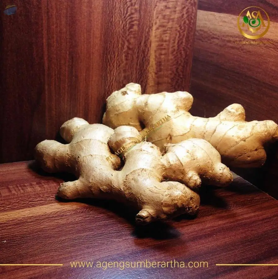 Fresh Giant Ginger