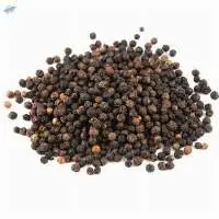Black Pepper GL 500 GL 550