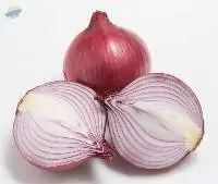 Onion