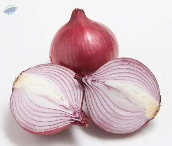 Onion