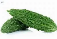 Bitter Gourd