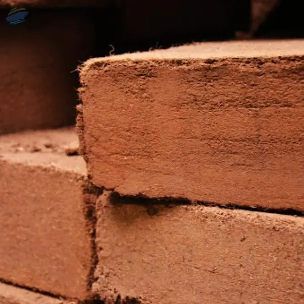 Cocopeat Block