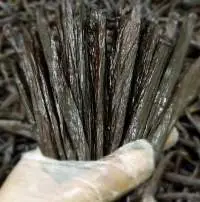 Gourmet Vanilla Beans