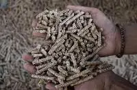 Wood Pellets, Wood Chips, Wood Shaving