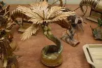 Bamboo Craft, Wood Craft, Tumbler