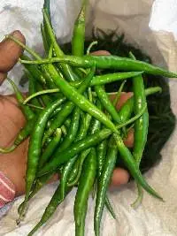 Green Chilli