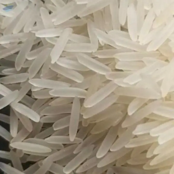1121 Sella Rice