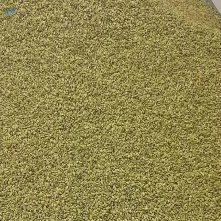 Cardamom