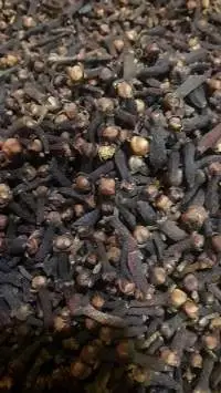 Clove
