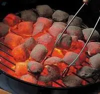 Briquette Pillows