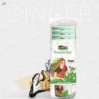 Gruner Green Tea Cups Ginger