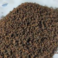 Gruner CTC Tea