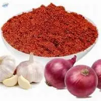 Onion Garlic Masala