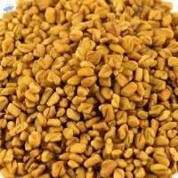 Fenugreek Seeds