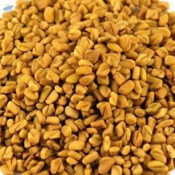 Fenugreek Seeds