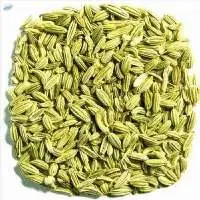 Fennel Seeds