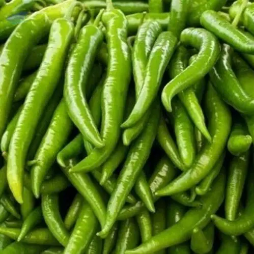 Green Chilli (Wet)