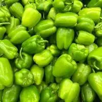 Bell Pepper