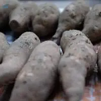 Sweet Potatoes
