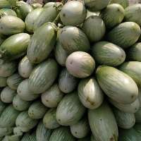 Brinjal