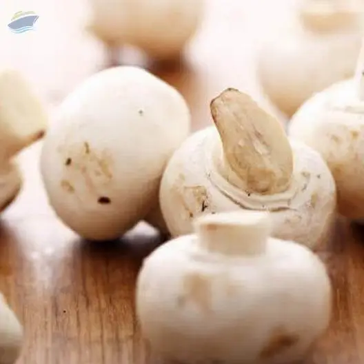 Button Mushroom