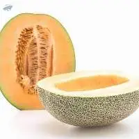 Muskmelon