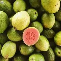 Guava