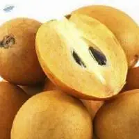 Sapota