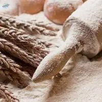 Wheat Flour