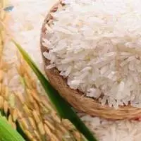 Pusa Basmati Rice