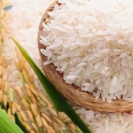 Pusa Basmati Rice