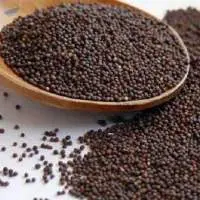 Mustard Seeds